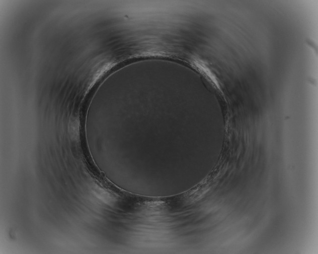 X0000091460108200708231325