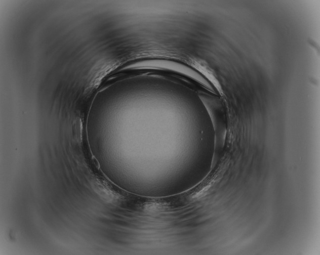 X0000091460109200708231325