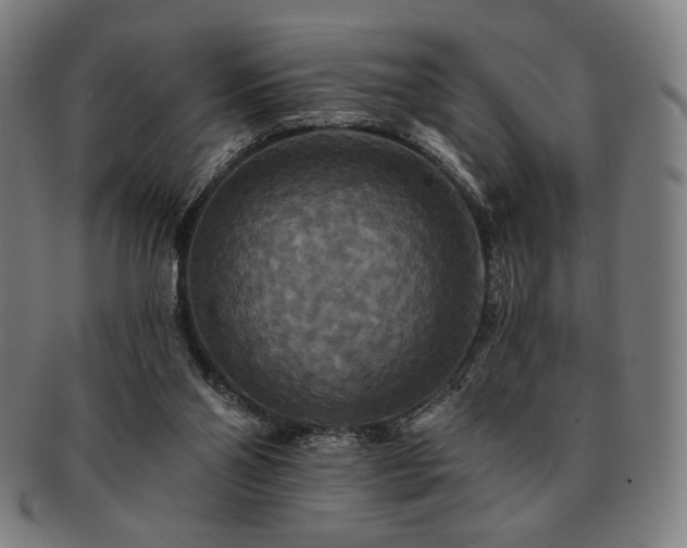 X0000091460110200708231325