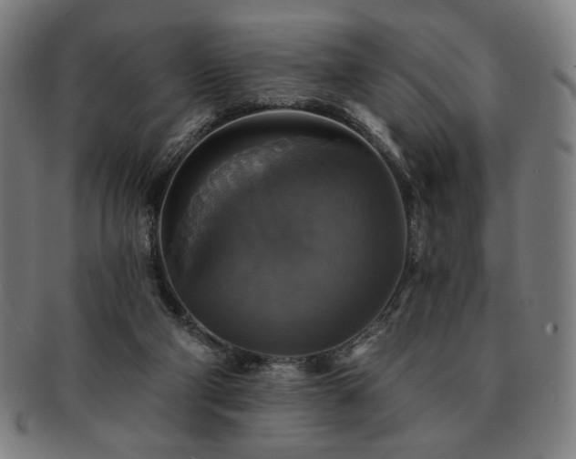 X0000091460114200708231325