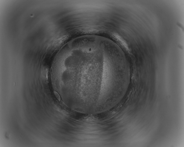 X0000091460115200708231325