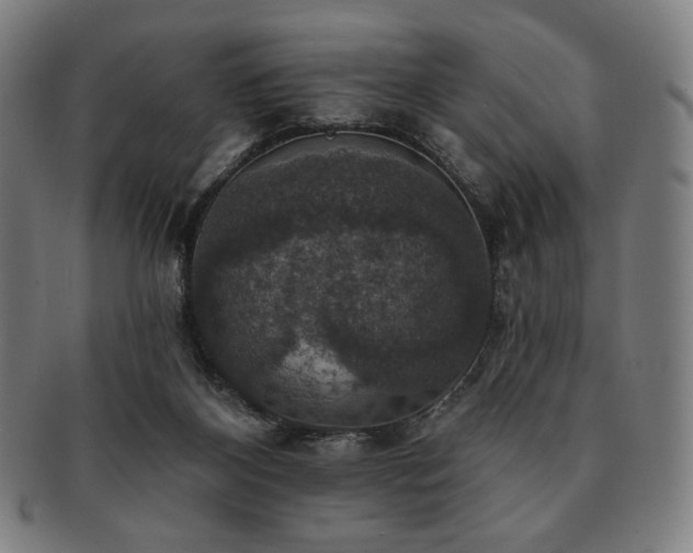 X0000091460116200708231325