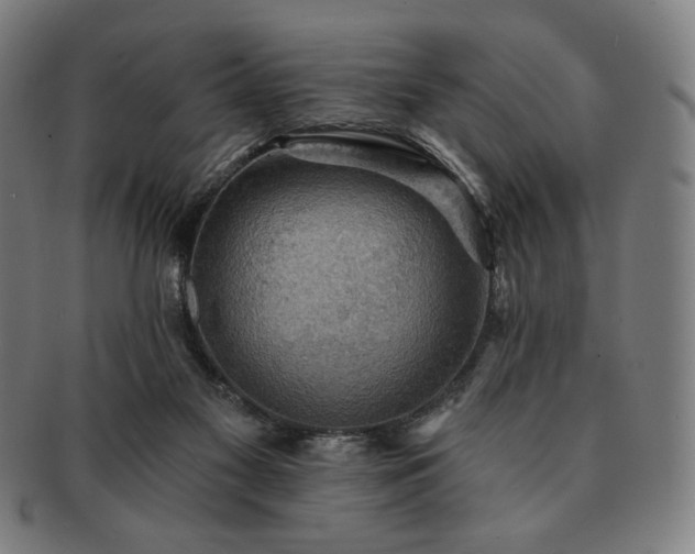 X0000091460117200708231325