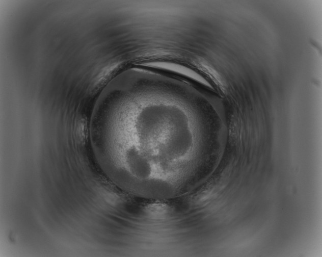 X0000091460119200708231325