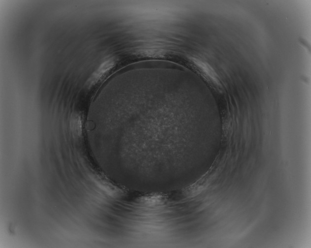 X0000091460120200708231325