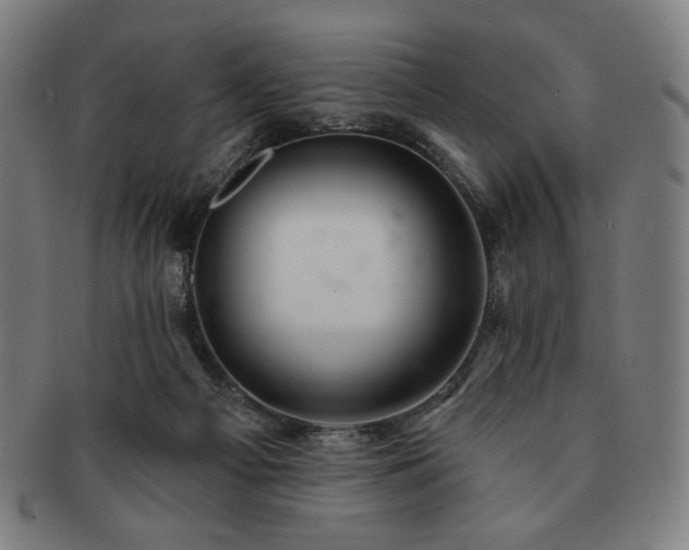 X0000091460121200708231325