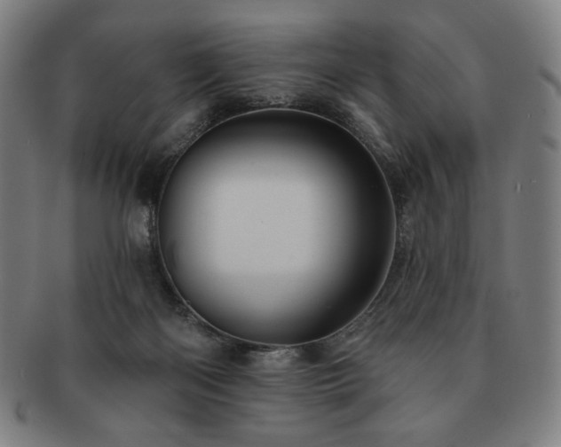 X0000091460122200708231325