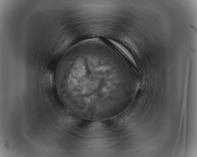 X0000091460123200708231325