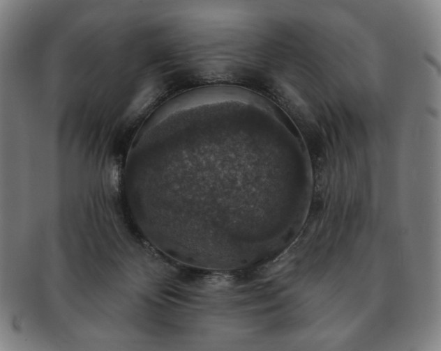 X0000091460124200708231325