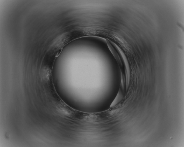 X0000091460125200708231325