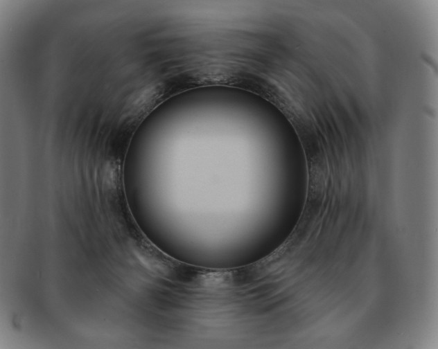 X0000091460126200708231325