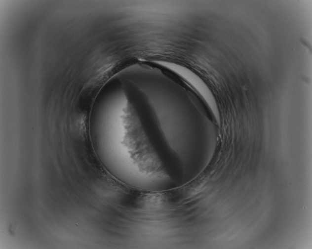 X0000091460127200708231325