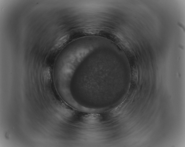 X0000091460128200708231325