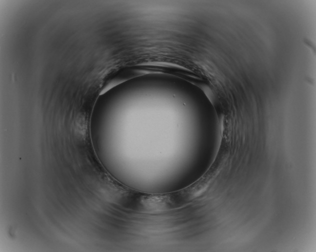 X0000091460129200708231325