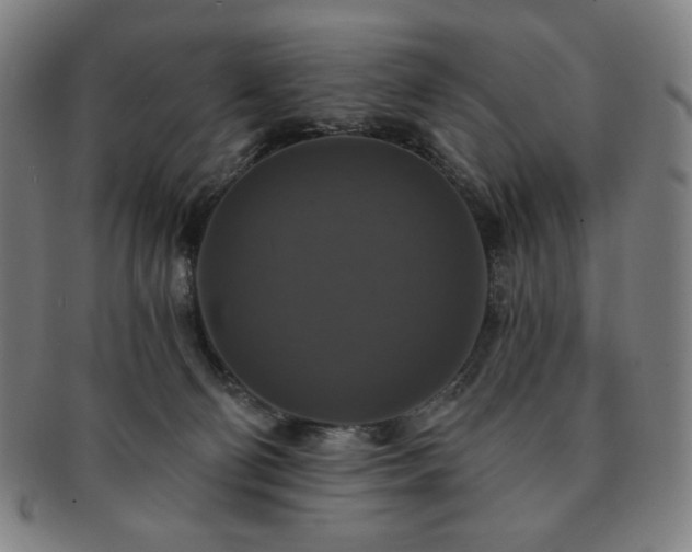 X0000091460130200708231325