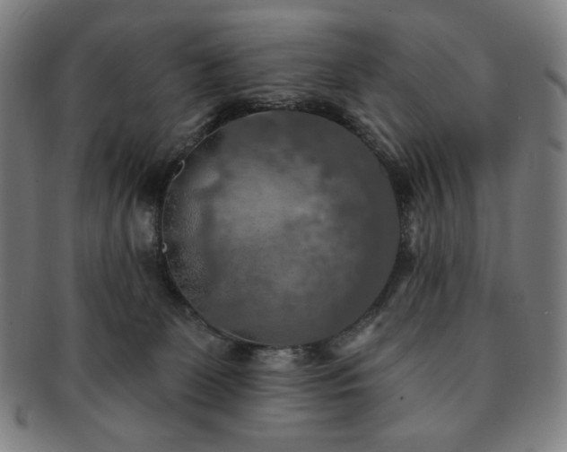 X0000091460131200708231325