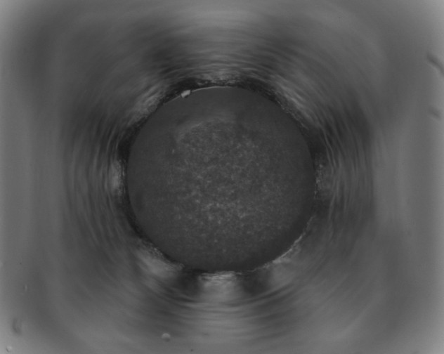 X0000091460132200708231325