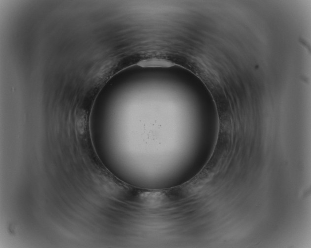 X0000091460133200708231325