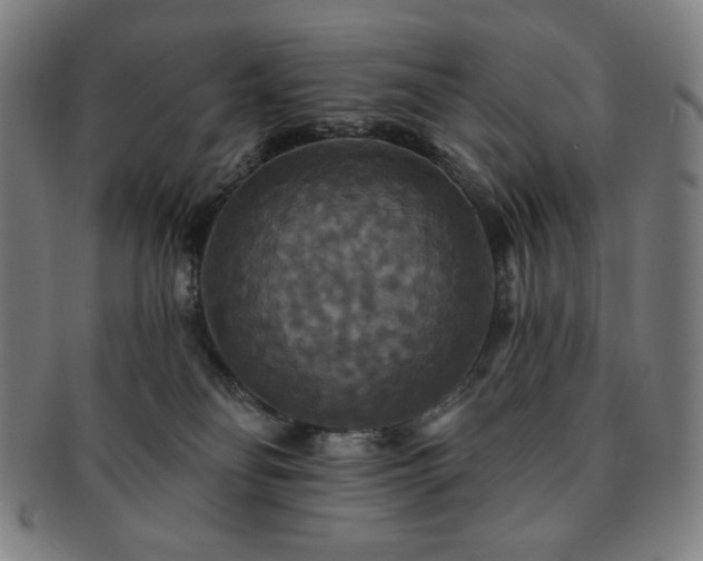 X0000091460134200708231325