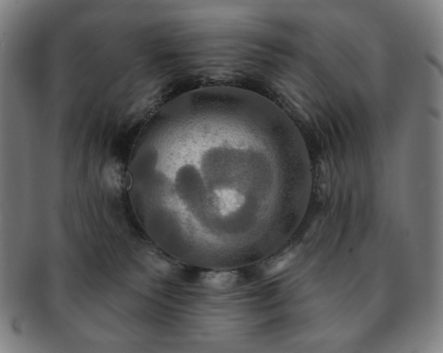 X0000091460135200708231325