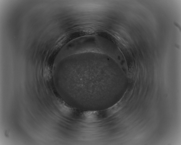 X0000091460136200708231325