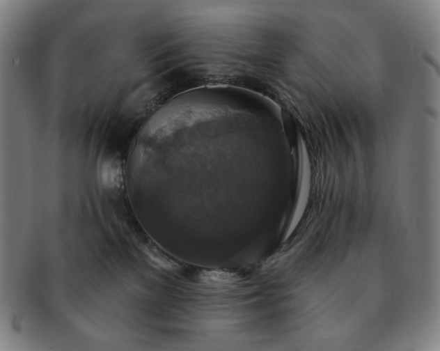 X0000091460137200708231324