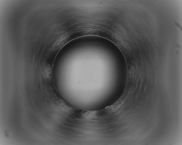 X0000091460138200708231324