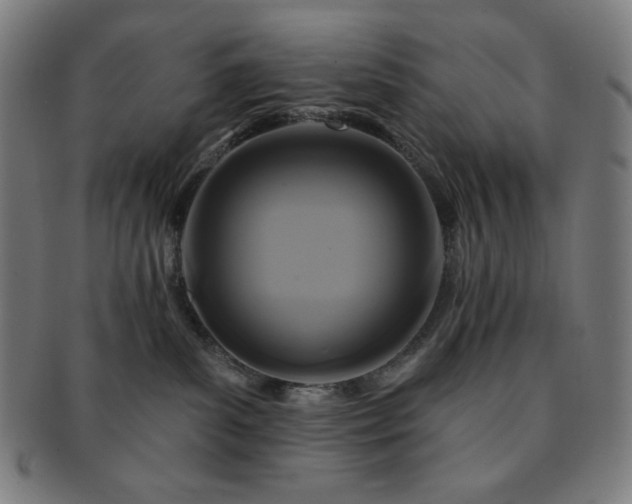 X0000091460139200708231324