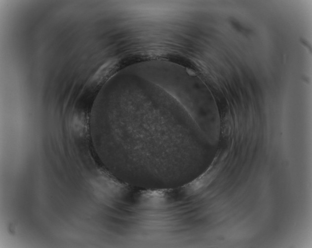 X0000091460140200708231324