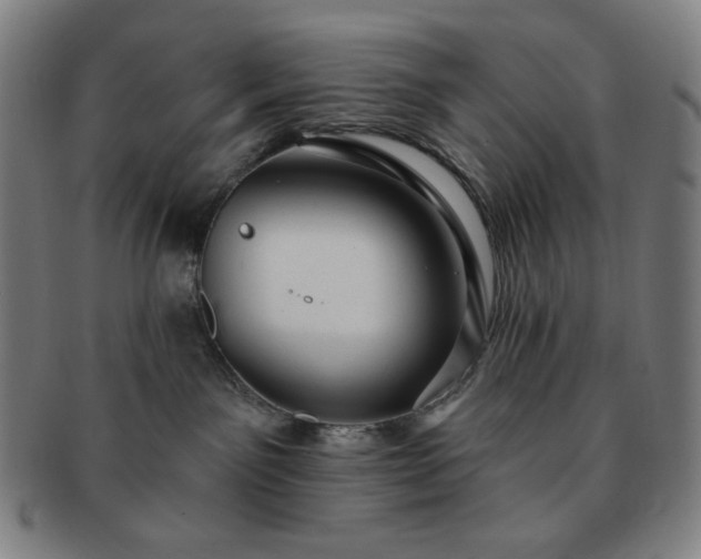 X0000091460141200708231324