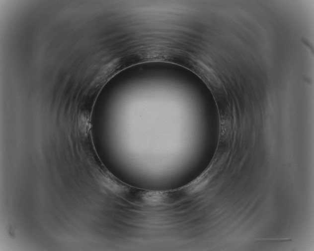 X0000091460142200708231324