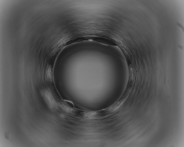 X0000091460143200708231324