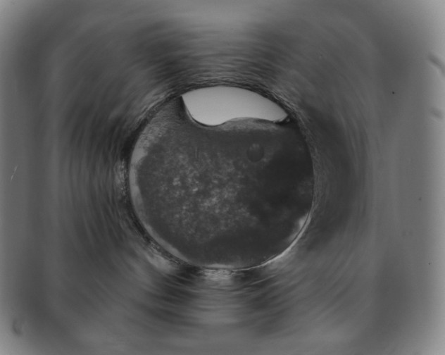 X0000091460144200708231324