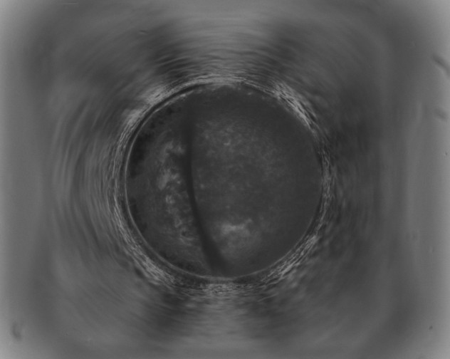 X0000091460145200708231324