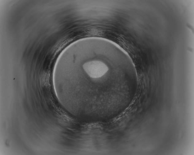 X0000091460146200708231324