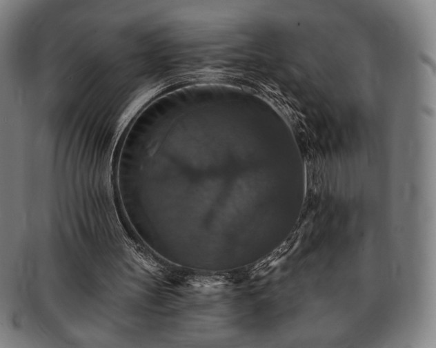 X0000091460147200708231324