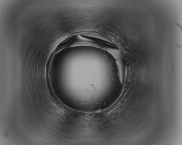 X0000091460148200708231324