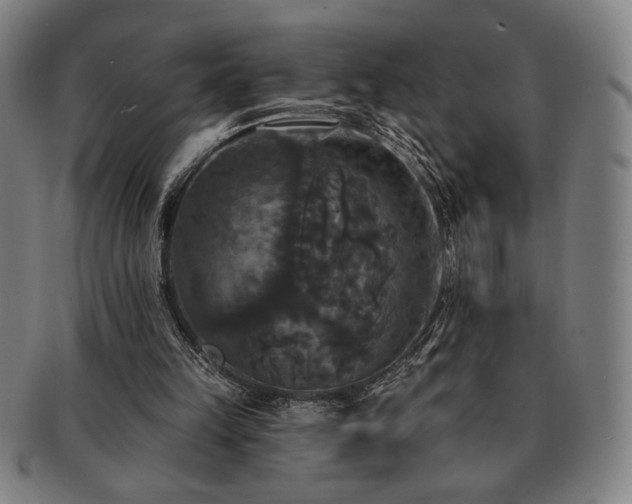 X0000091460149200708231324