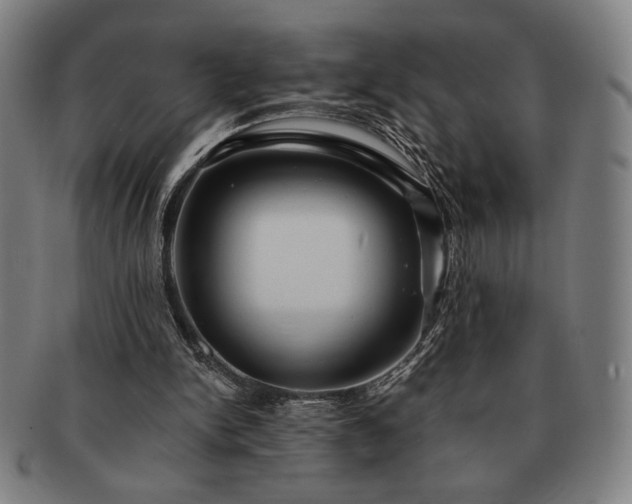 X0000091460150200708231324