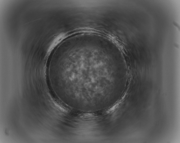 X0000091460151200708231324