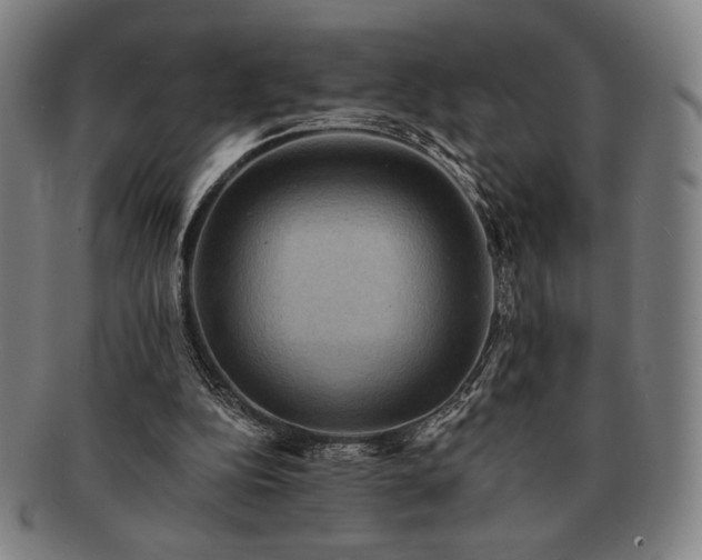 X0000091460152200708231324