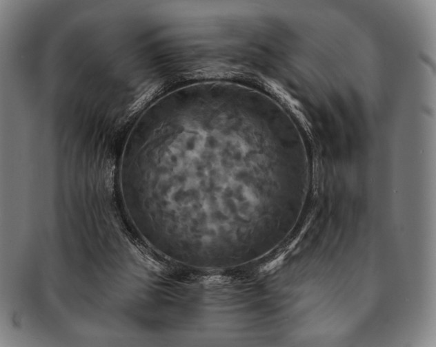 X0000091460153200708231324