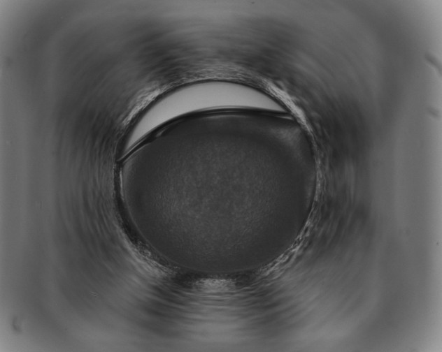 X0000091460154200708231324