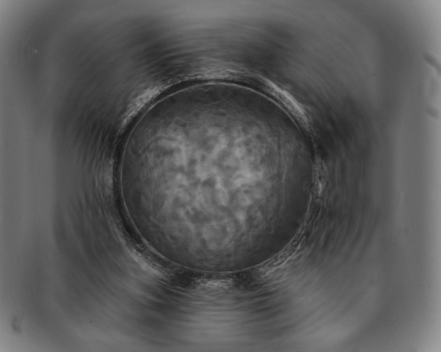 X0000091460155200708231324