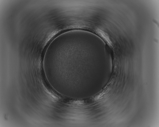 X0000091460156200708231324