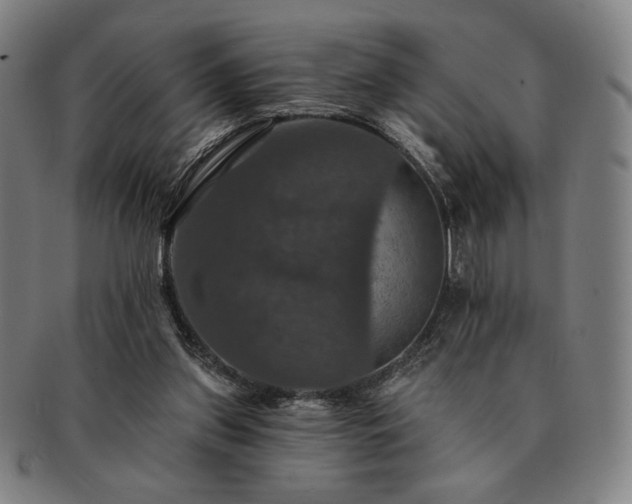 X0000091460157200708231324