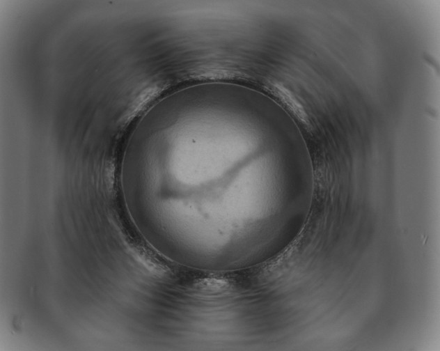 X0000091460159200708231324