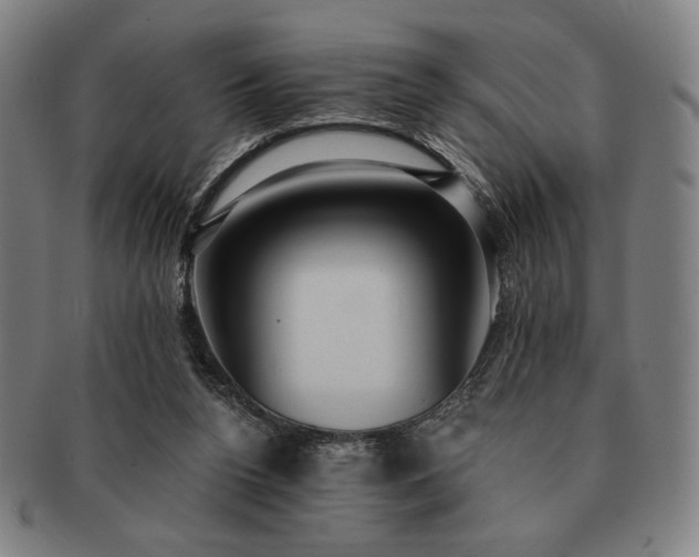 X0000091460160200708231324