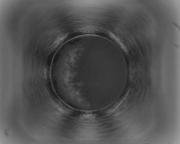 X0000091460161200708231324