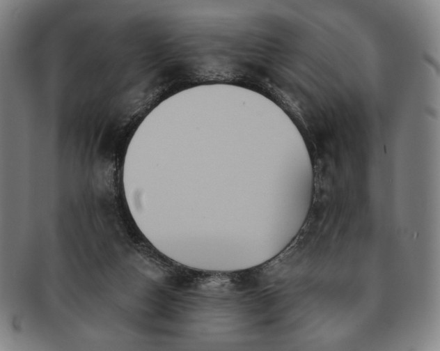 X0000091460162200708231324